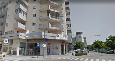 Local comercial: 122 m²