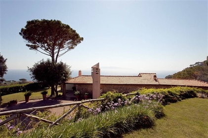 Luxury villa with sea view, pool and land for sale in Porto Santo Stefano in the Monte Arg