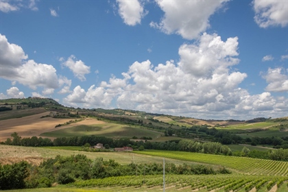 Between Sarteano and San Casciano dei Bagni, surrounded by a luxuriant countryside, in a p