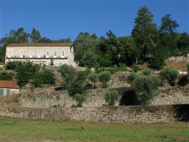 Country house. Vineyard & river frontage 