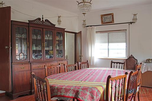 House: 363 m²