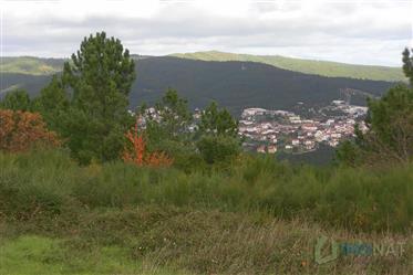 Imóvel Rural 
