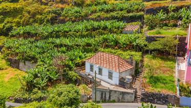 Opportunity! - Mixed Property (Urbana - Rustic) - Ribeira Br...