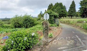 Terreno de 5050 m2 em Zona Tranquila de Santo António da Serra!