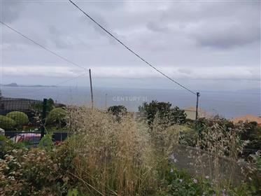 Moradia V1 + Terreno em Santa Cruz - Madeira