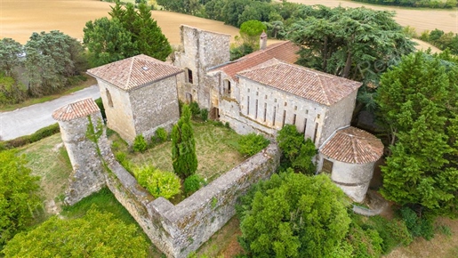 Insolite : Château fort dit Musée du Pastel dans le Tarn
