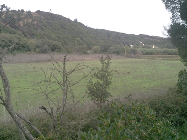 Land with Ruin in Aljezur