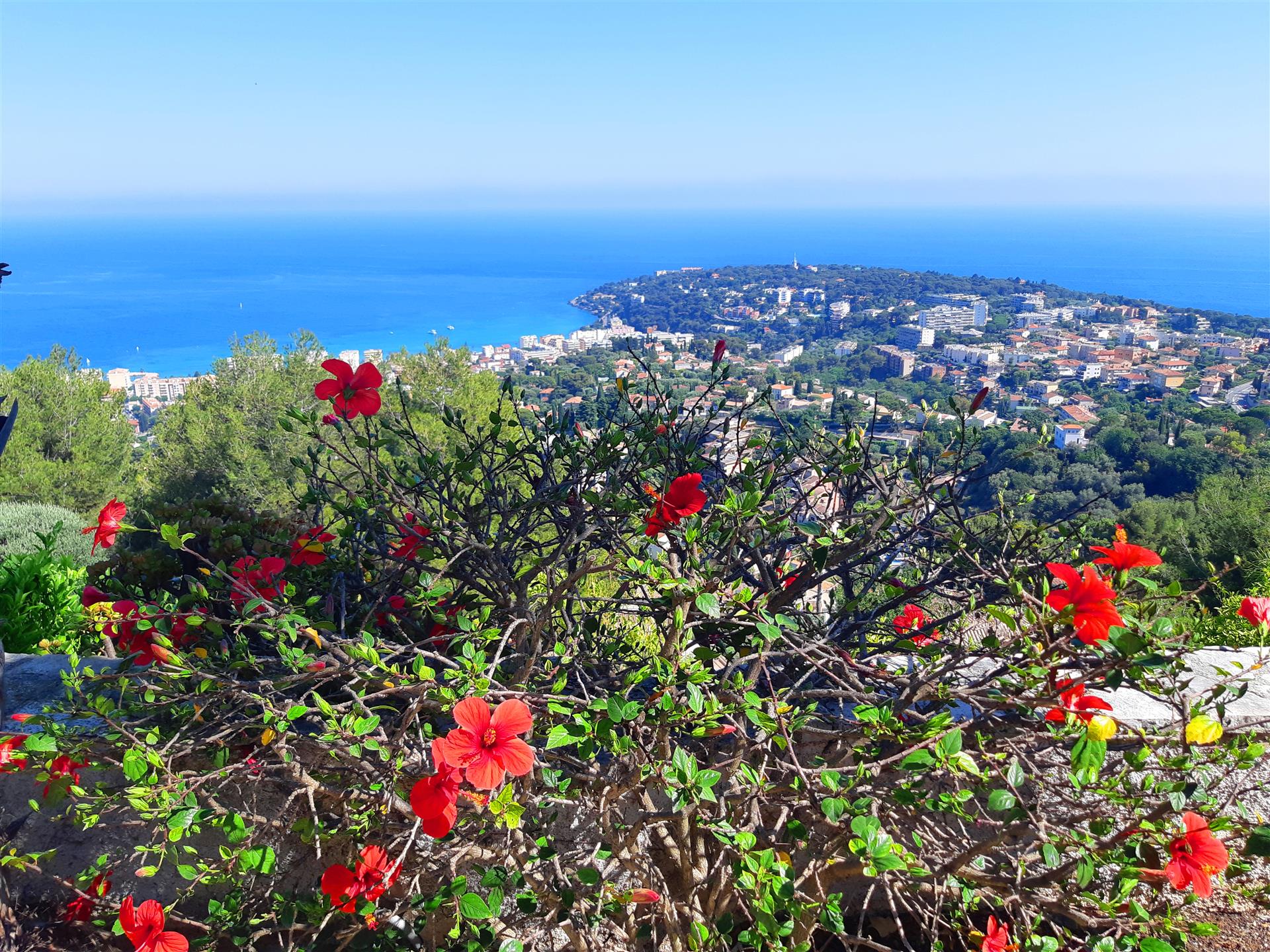 open-sea-view-near-monaco