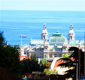 Border Monaco