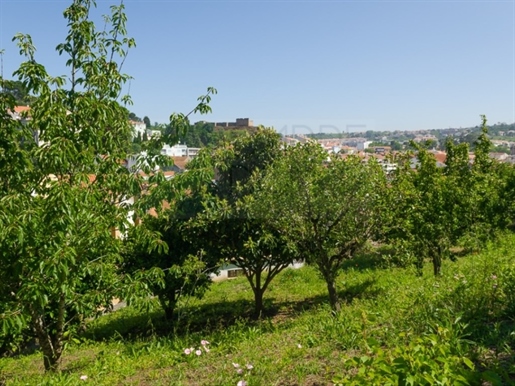 Land with fantastic project approved for the construction of 4 villas, in the center Alcobaça
