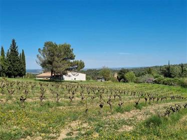 Domaine viticole de 14 hect bio sur 30 hect avec oliveraie, bergerie rénovée, cave de vinification