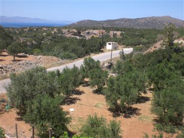 Pachia Ammos-Ierapetra: Deux maisons à 2.400 mètres de la mer avec vue sur la mer et vue sur la gorg