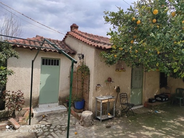 Detached house 240 m² in Peloponnese