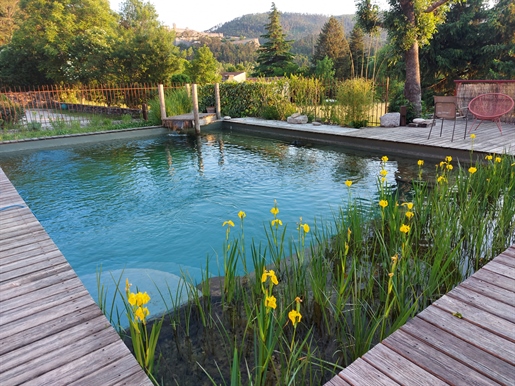 Property with natural pool