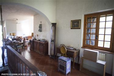 Casa: 450 m²