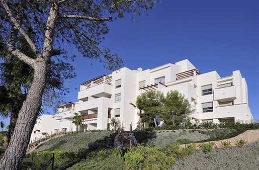 Nuovo sviluppo di case di lusso di fronte al mare a Playa Flamenca. Il residenziale è comp