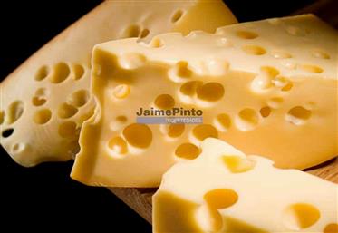 Cheese, industry, factory for sale. Portugal, North, Guarda.