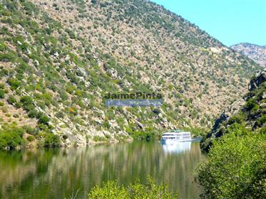 Property 90 ha, vineyard, houses, winery, Douro river. Portugal, Douro, V. N. Foz Côa.