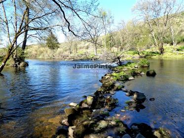 28Ha of land fronting the Mondego river. Portugal, Centro, C...