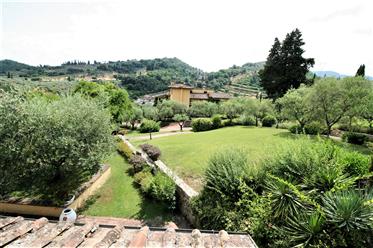 Villa with pool and vineyards close to Florence