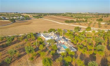 Completely Renovated & Private Family Retreat in Puglia