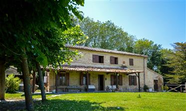 Lovely Country House in Recanati
