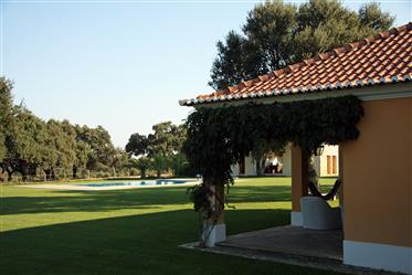 Quinta T6 with swimming pool, equestrian centre and cork chain forest Santarem