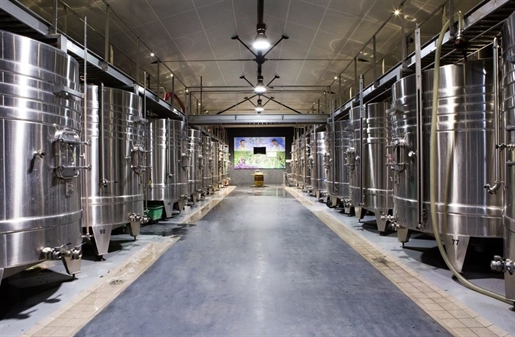 Castillo y su importante finca vinícola en venta en el Borde