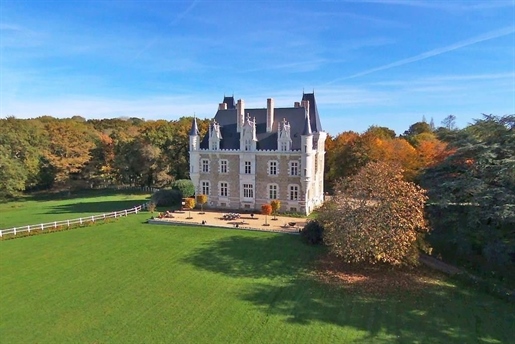 Beautiful chateau in the Haut-Anjou