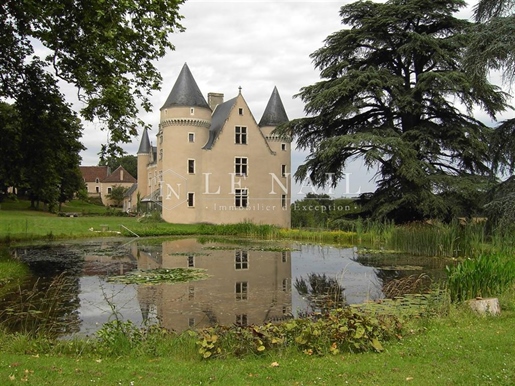 Château Fort Du XVème siècle, Remanie Au XIXème siècle, Dominant