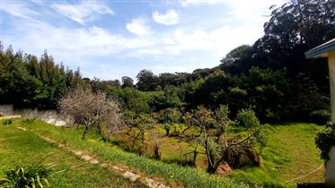 2.8 Hectares land at Rmilat near the Park with sea view in one of the most beautiful and prestige ne