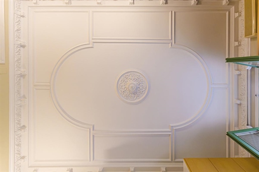 Impecable piso modernista en finca regia, a pocos metros del Arc de Triomf
