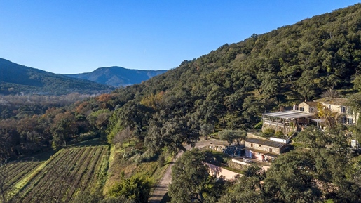 Period estate with vines, guest house, outbuildings and more.

Gulf Of St-Tropez - The ori