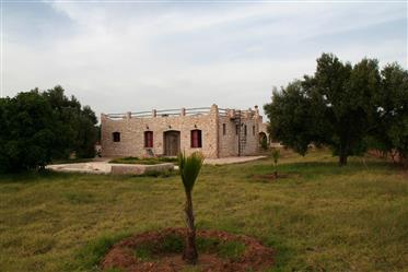 Property with two stone houses Garden 4984 sqm