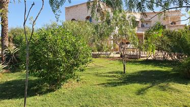 Maison d'exception à Essaouira 650 m²  dans un Jardin  1 hectare