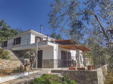 House 130 sqm in Liri (Katigiorgis) Pelion