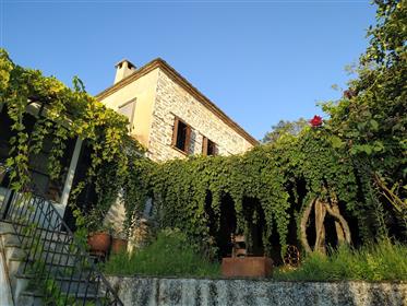 Stone detached house in Lafkos