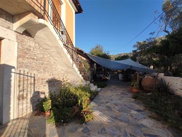 Seafront stone house of 140 sqm i in Milina Pelion
