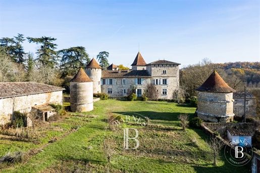 Magnifique Chateau Medieval Et Renaissance Dans Le Gers, Sur 208 Hectares