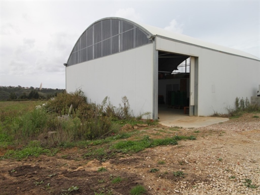 House in Mafra - T5 ground as Nova inserted in a land of 4.5 hectares
