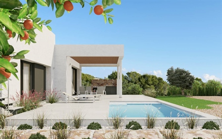 Villa in Las Colinas Golf, Dehesa de Campoamor, Costa Blanca 3 bedroom house with large te
