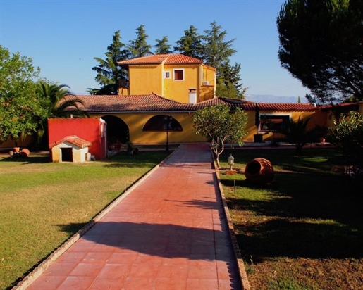 Beautiful farm in the province of Toledo, 20 kms from Talavera de la Reina and one hour fr