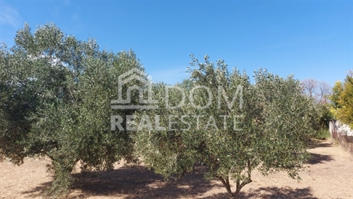 Agricultural, 2000 sq, for sale