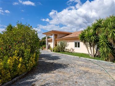 Luxury house and lots of privacy half an hour from Lisbon (9 hectares of land)