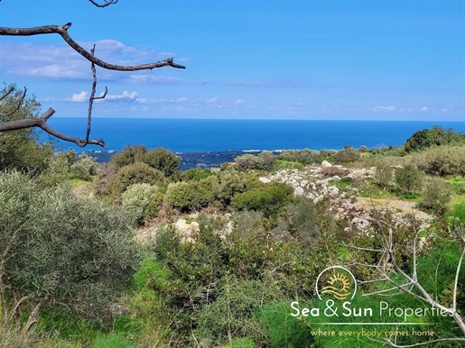 Stunning Sea View Plot with Building Allowance in Agia Paraskevi
