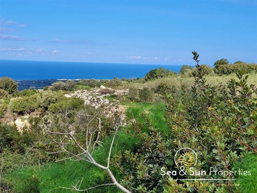 Stunning Sea View Plot with Building Allowance in Agia Paras...