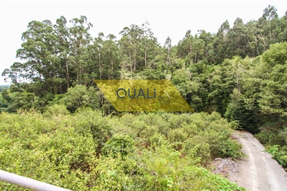 Terreno Misto de 4690 m2 no Santo da Serra, Ilha da Madeira - €280.000,00