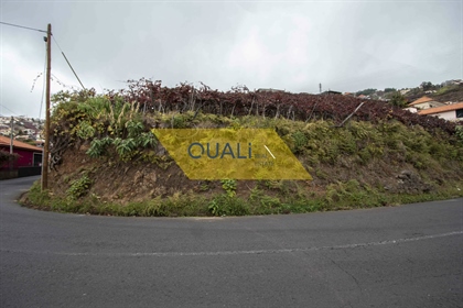 Terreno com 3923m2 em Câmara De Lobos - Ilha da Madeira - € 275.000,00