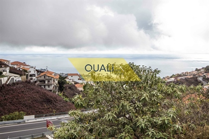 3923M2 Land in Câmara De Lobos - Madeira Island - € 275.000,00