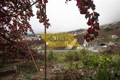 Terreno Rústico com 1798m2 no Estreito Câmara de Lobos - Madeira - € 159.500,00